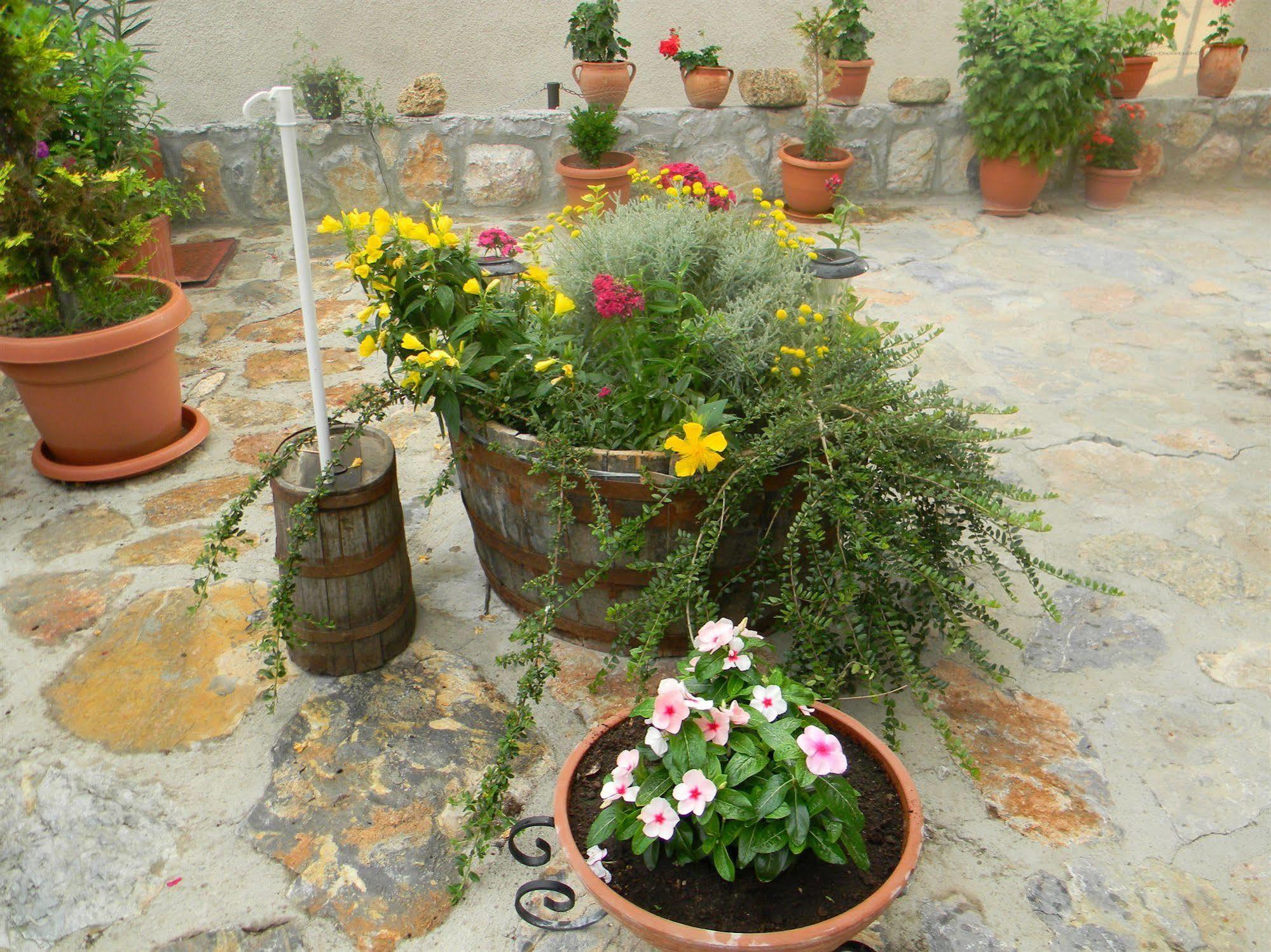 Villa Kale Ohrid Exterior photo